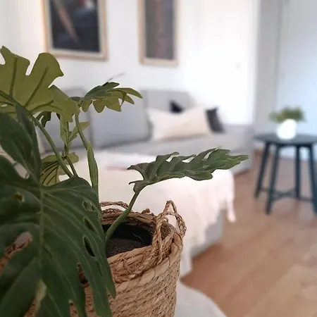 Apartamento Frente Al Mar El Palo